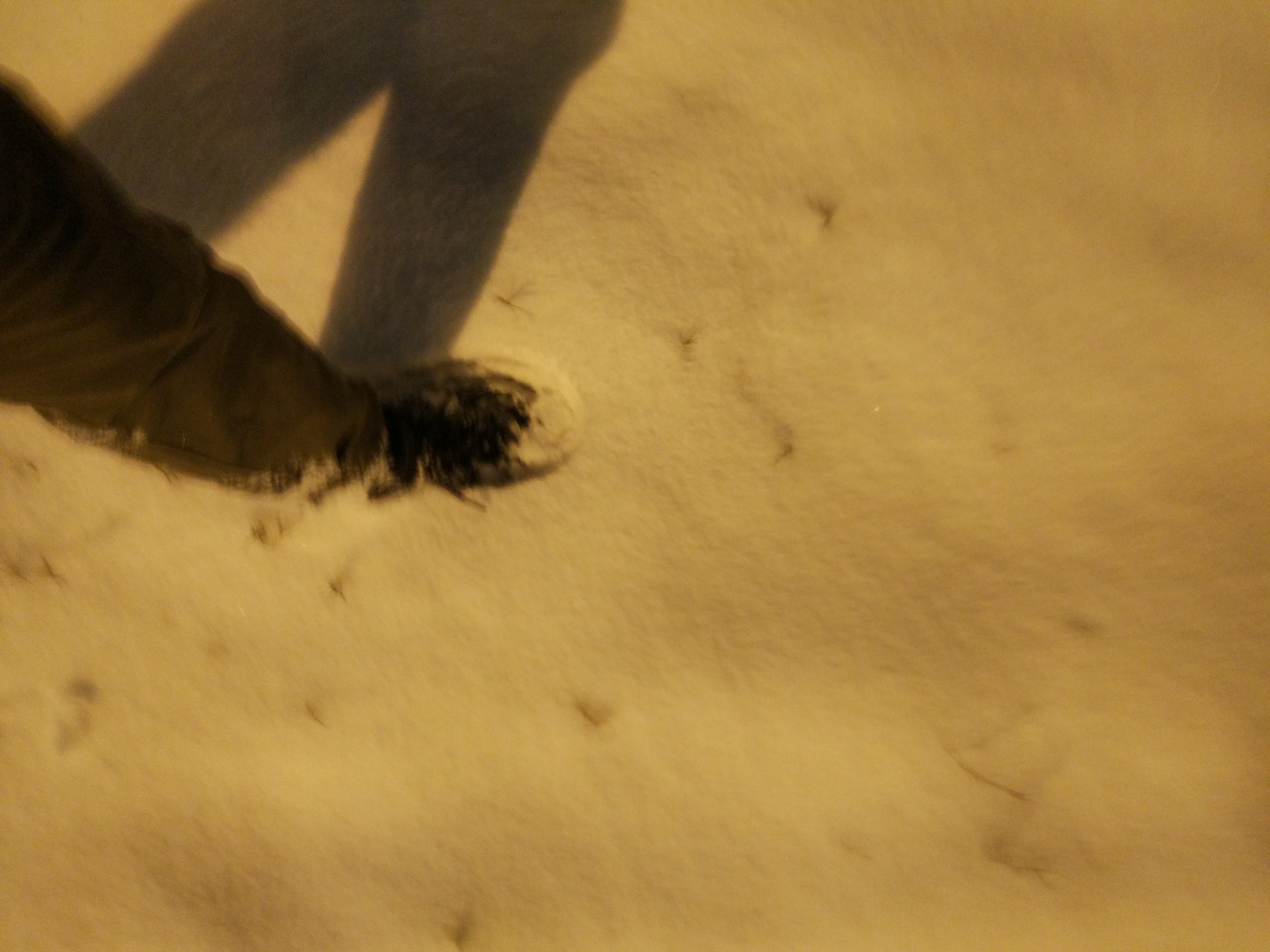 踩雪
