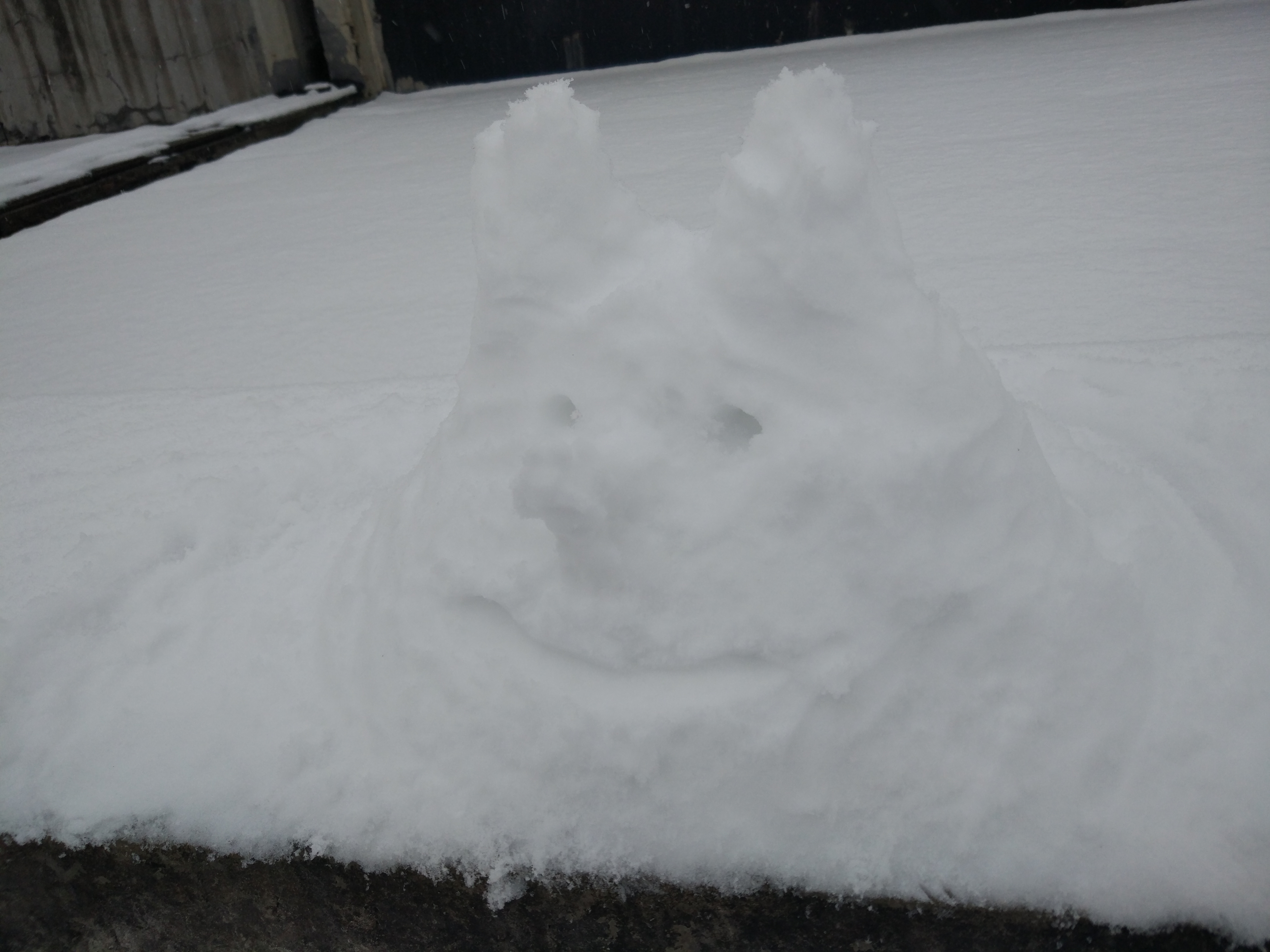 像猪头的雪人